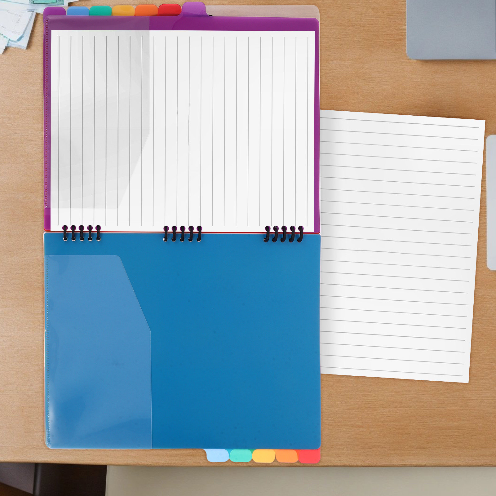 A4 Document Organizer File Bin - Tab Divider A4 review and price