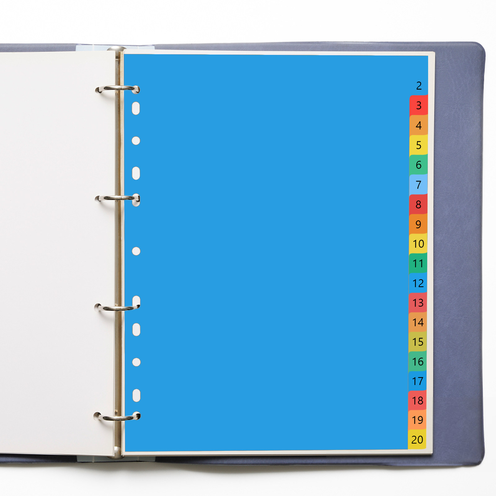 A4 Colorful Plastic Classified - Tab Divider A4 review and price